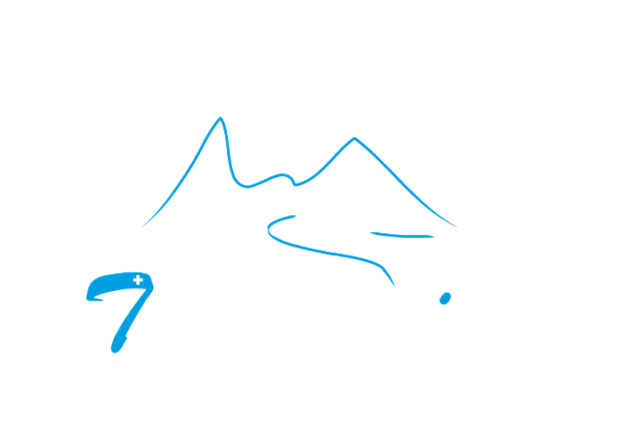 Garage Transalpin